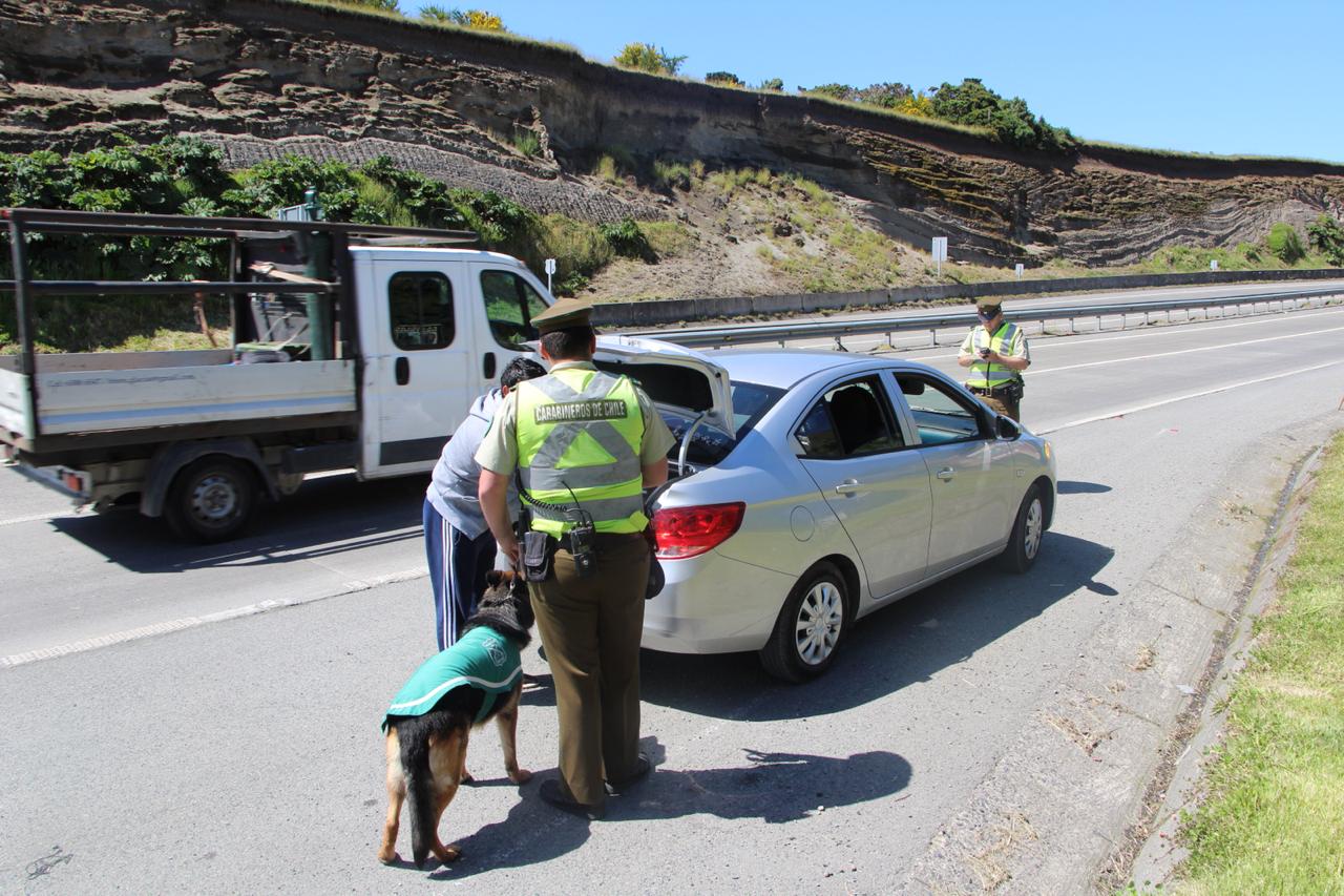 Lanzan operativos preventivos en el ingreso a Chiloé