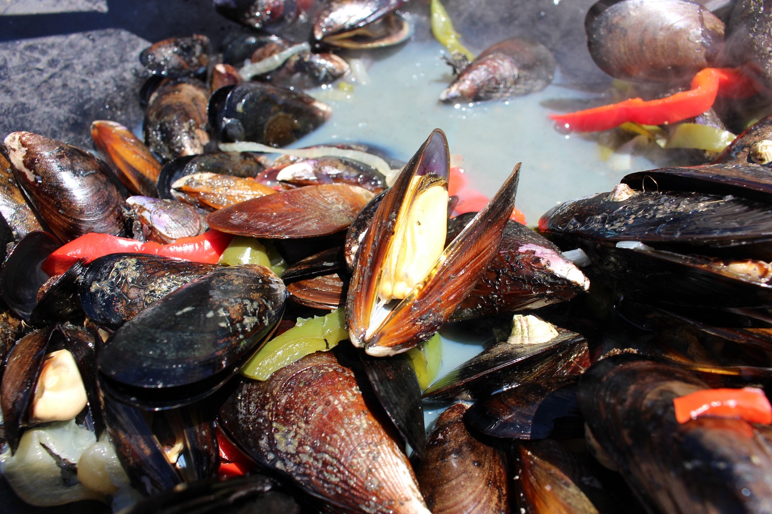 Buscarán incorporar los choritos en las colaciones escolares de La Araucanía y Los Ríos  