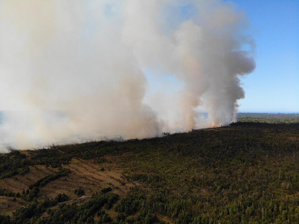 Presentan querella por incendio forestal en Ancud
