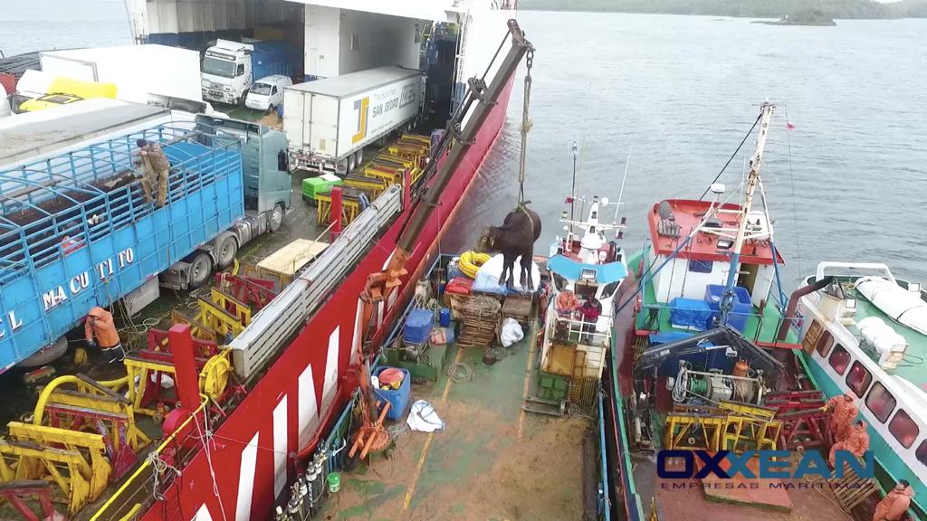 Oxxean realiza salvamento de la naufragada Ferry “Coyhaique”