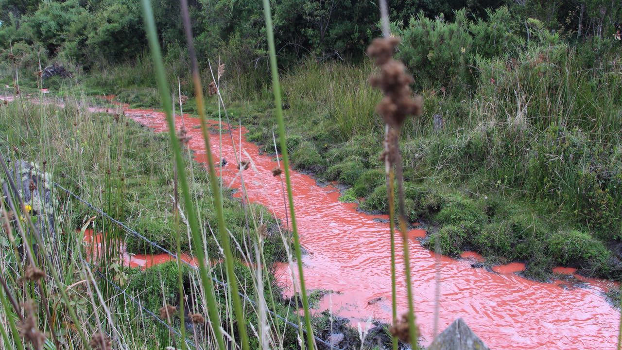 Delito ambiental: proyecto ahora será analizado por la Comisión de Constitución