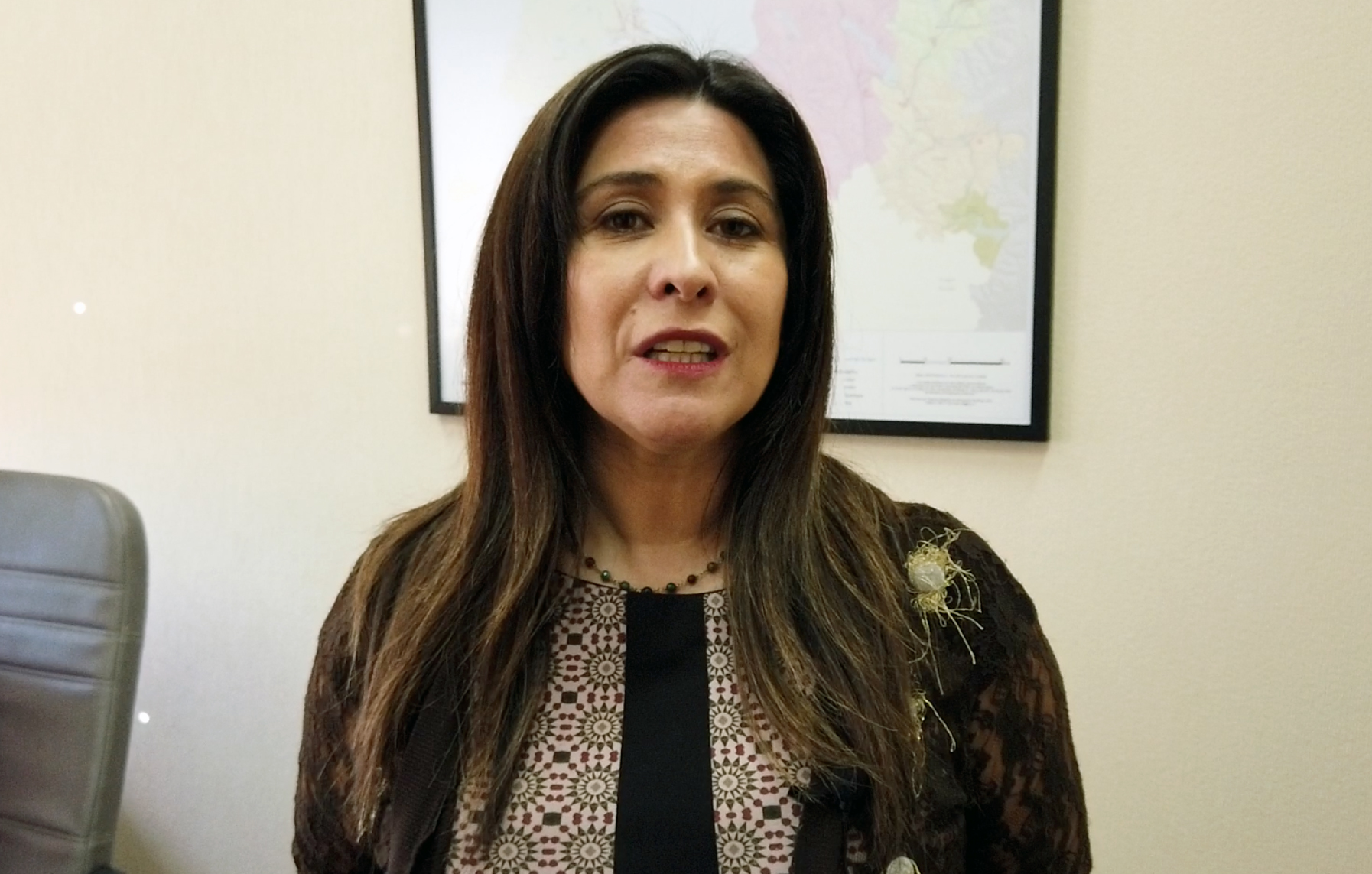 Diputada Álvarez: “Estamos en condiciones de pedir  fin de la concesión de Essal”