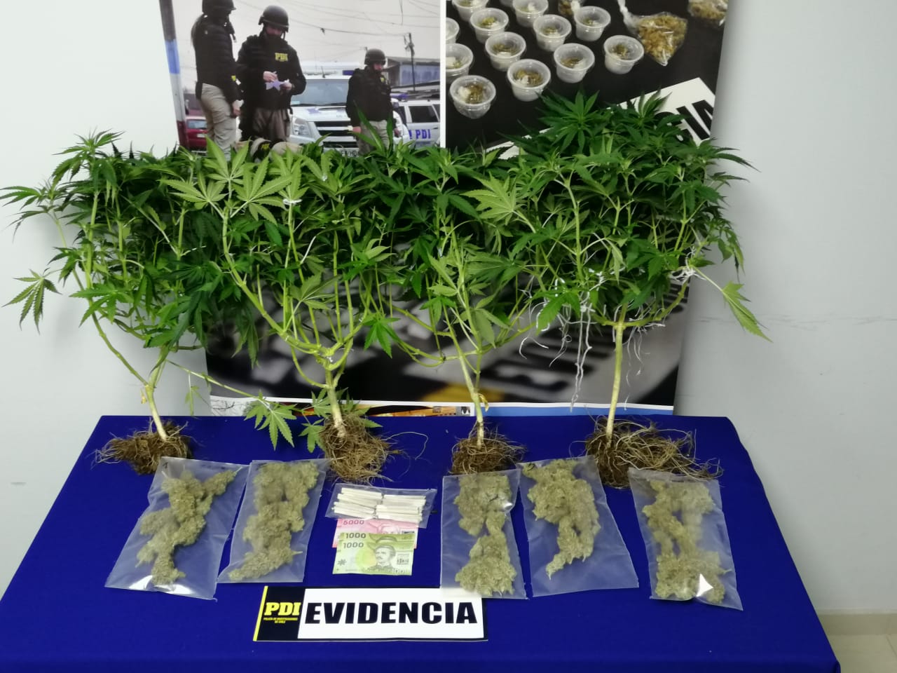 PDI detiene  a dos hombres por microtráfico de drogas en Ancud