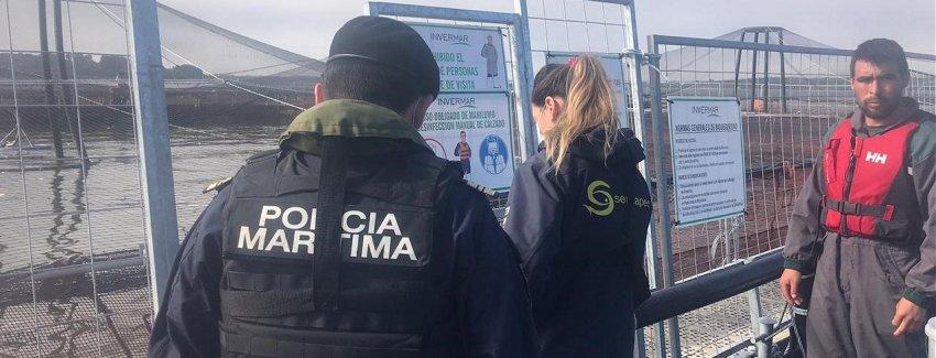 Sernapesca activa plan de contingencia ante mortalidad de salmones en centro de Invermar
