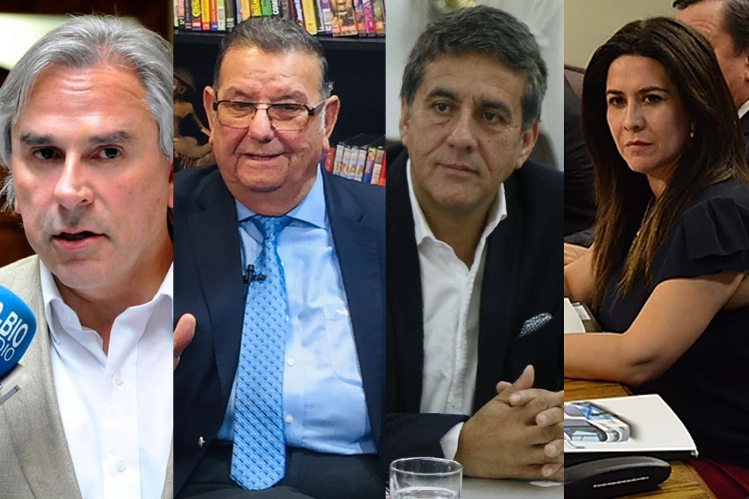 Parlamentarios se cuadran para pedir que se declare cuarentena en Ancud