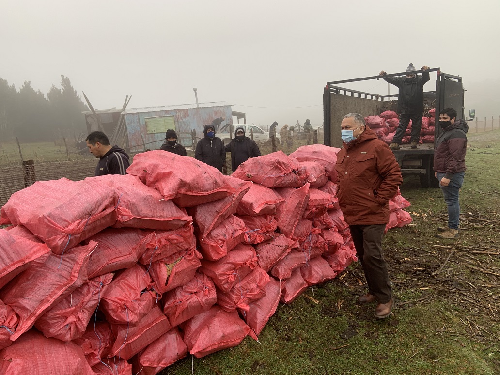 Cien sacos de leña y veinte bolsas de papas donó vecino ancuditano para familias vulnerables