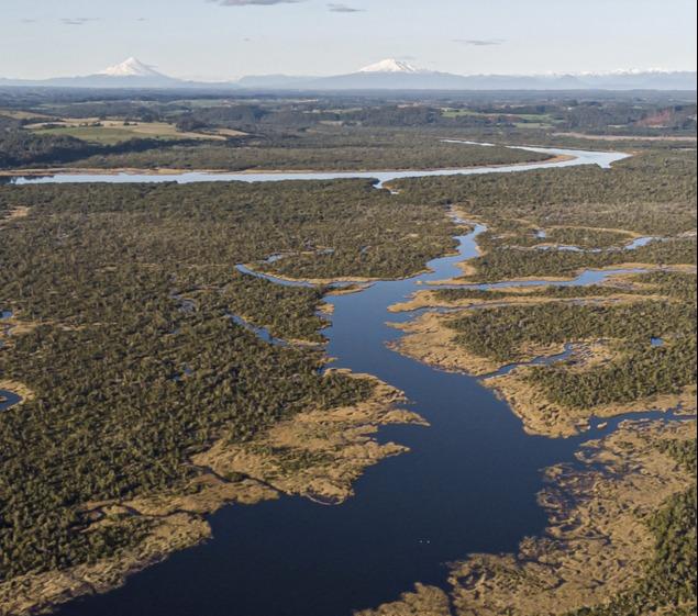 Piñera firma decreto que crea Santuario de la Naturaleza los humedales del río Chepu