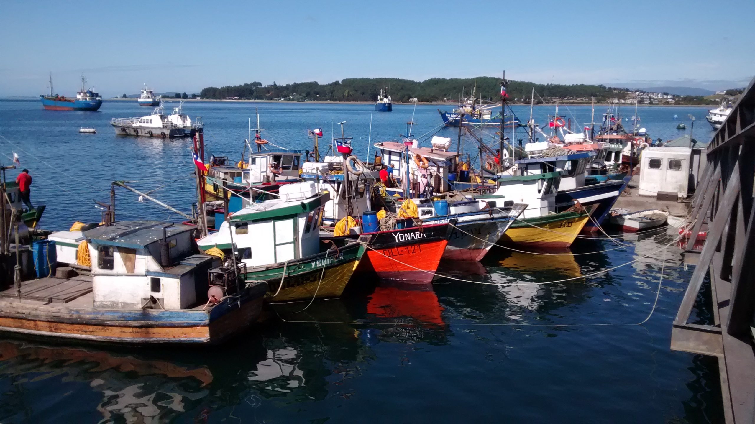 Pescadores artesanales solicitan a autoridades canalizar salida de productos del mar a través del  cordón sanitario