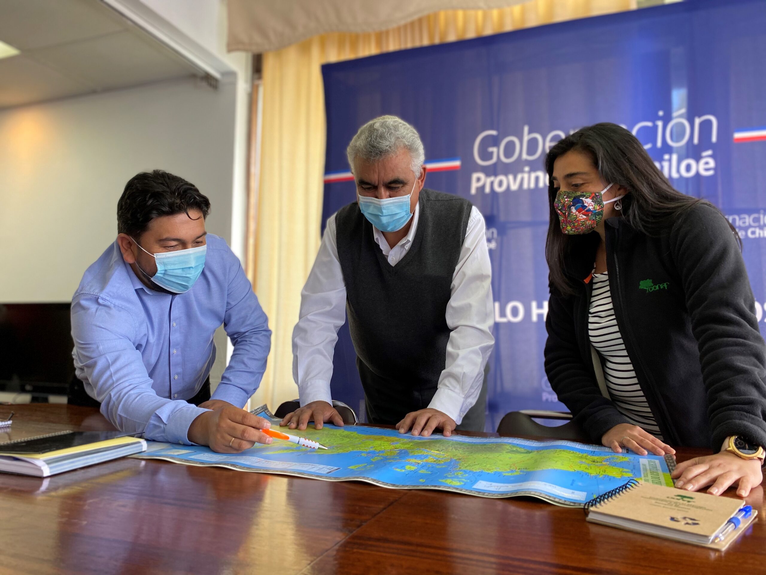 Preparan plan de fiscalizaciones por talas ilegales de bosques en Chiloé