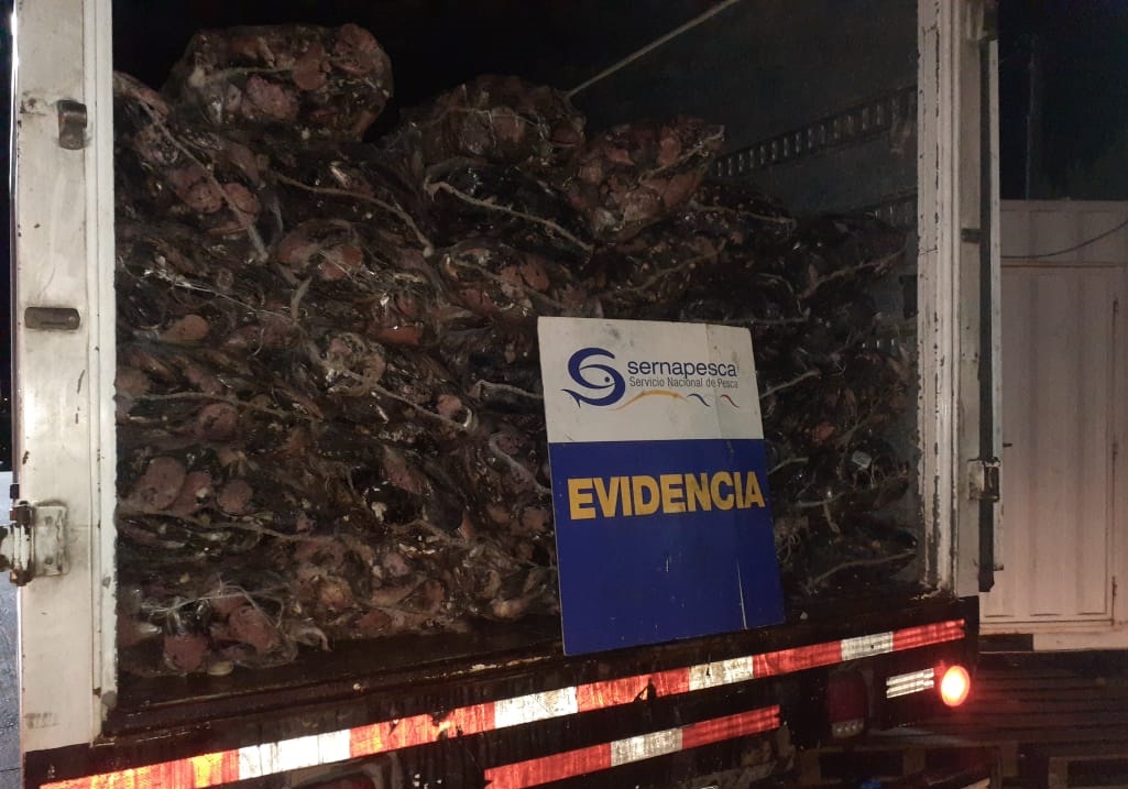 Incautan camión y más de una tonelada de recursos del mar