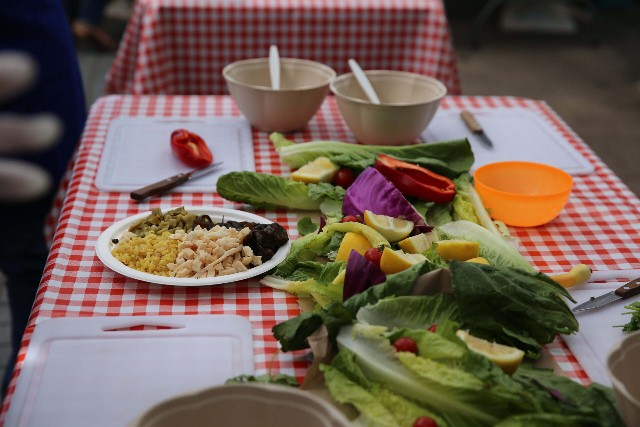 Chilenos consumen anualmente casi 15 kilos de productos del mar