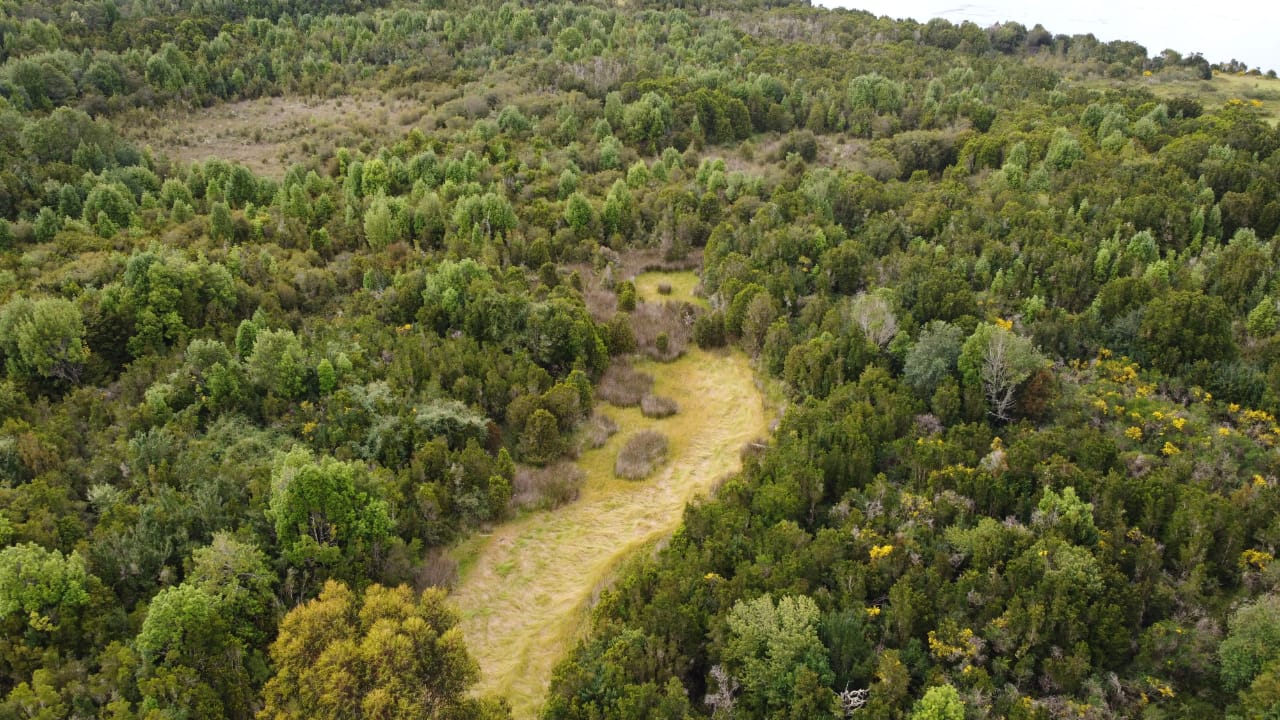 Tres nuevos santuarios de la naturaleza conformarán la “Red de Turberas de Chiloé”