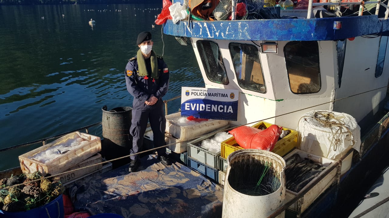 Detectan embarcaciones de Calbuco efectuando pesca ilegal en Aysén