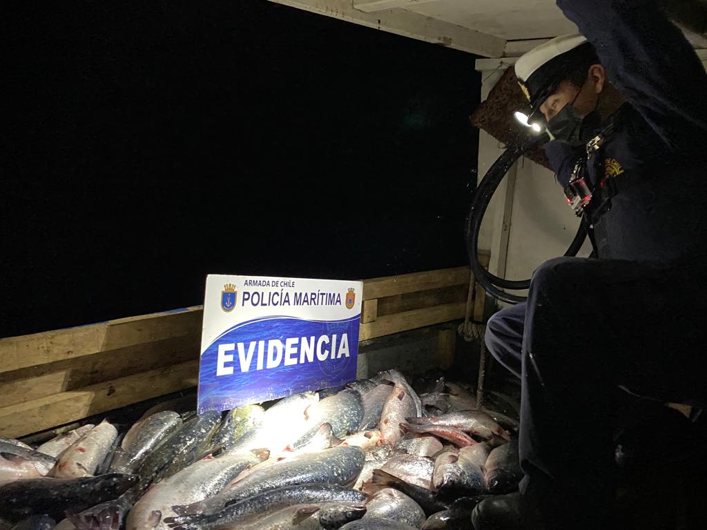 Armada de Quellón efectúa procedimiento por más de 9 toneladas de salmón robado