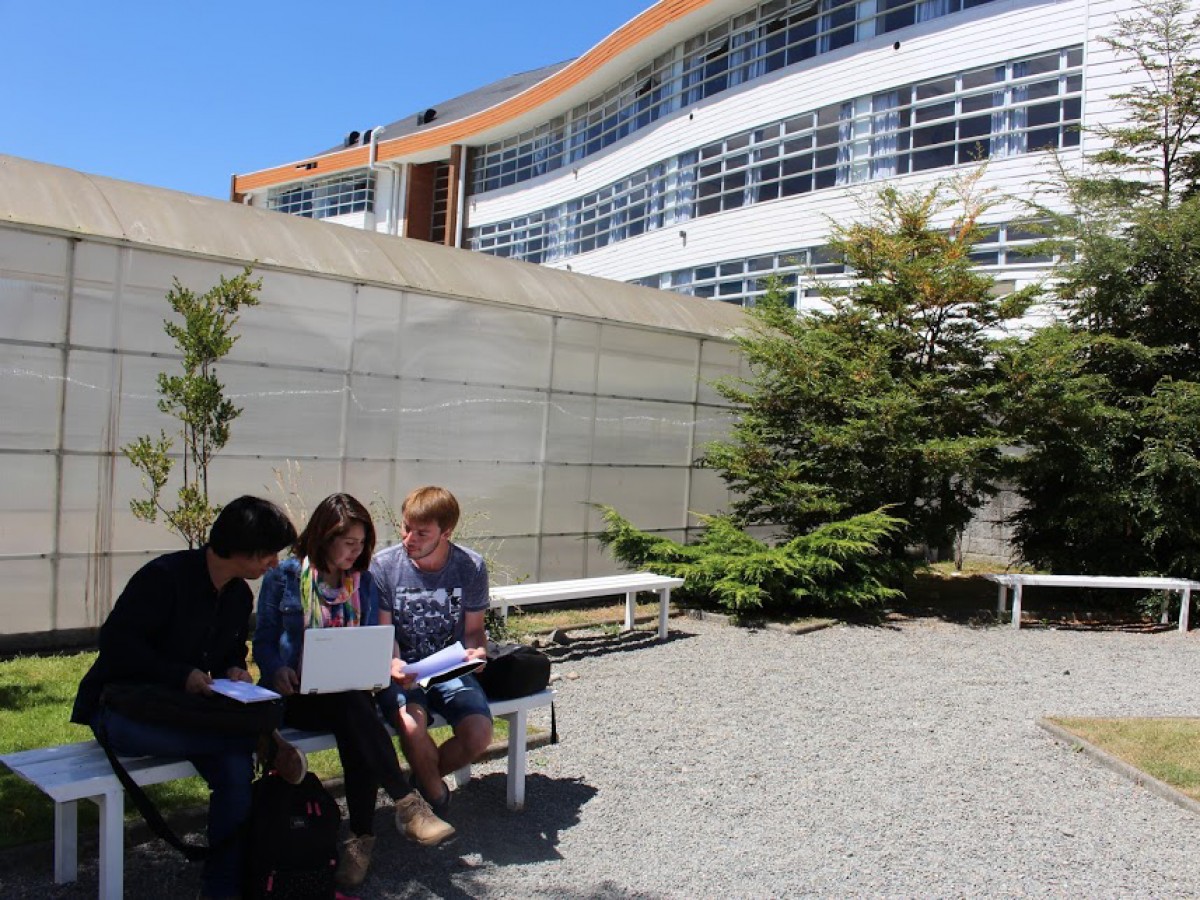 Seremi llama a postular al sistema de acceso de la educación superior técnico profesional 2022