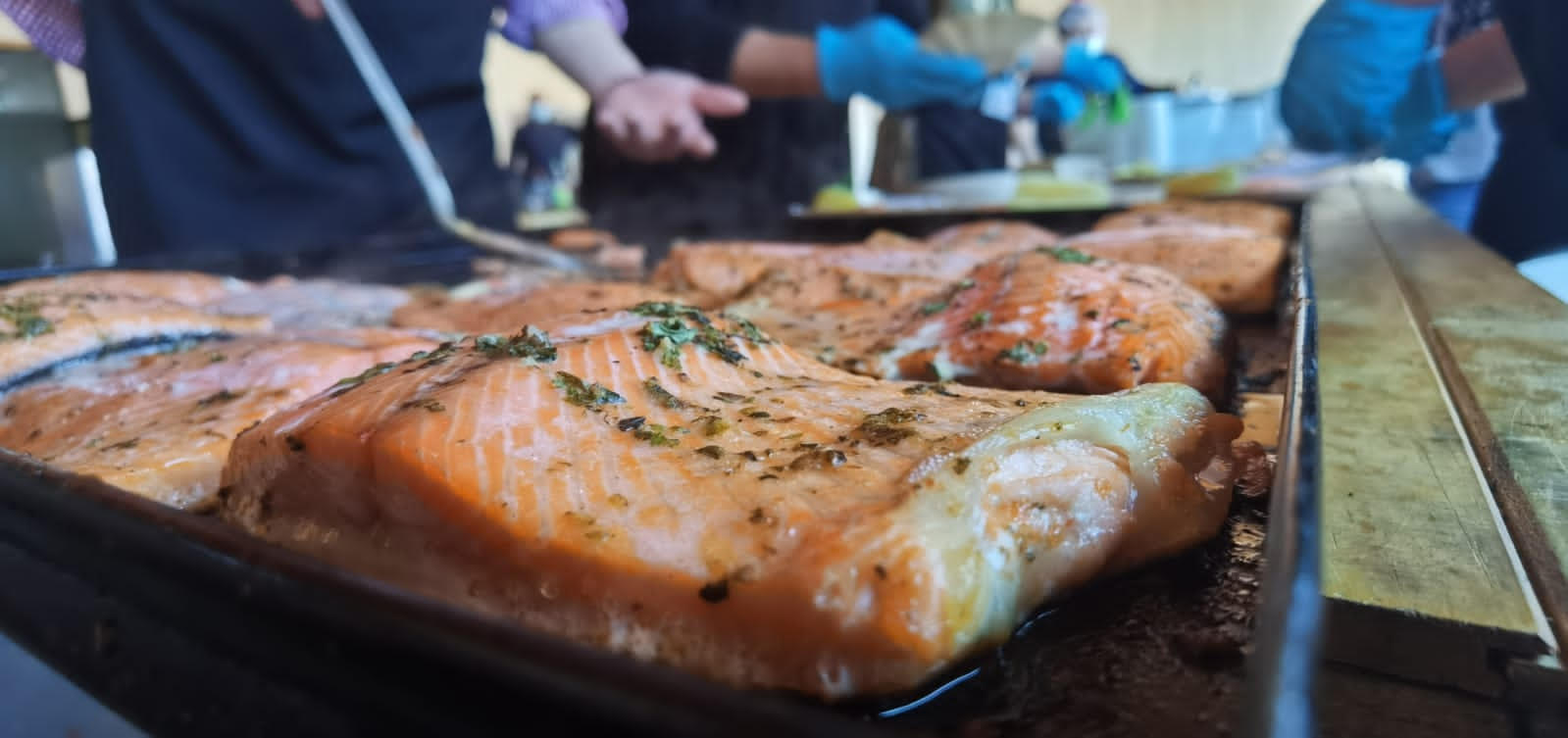 El Municipio de Curaco de Vélez y el Consejo del Salmón harán el cancato más grande de Chile