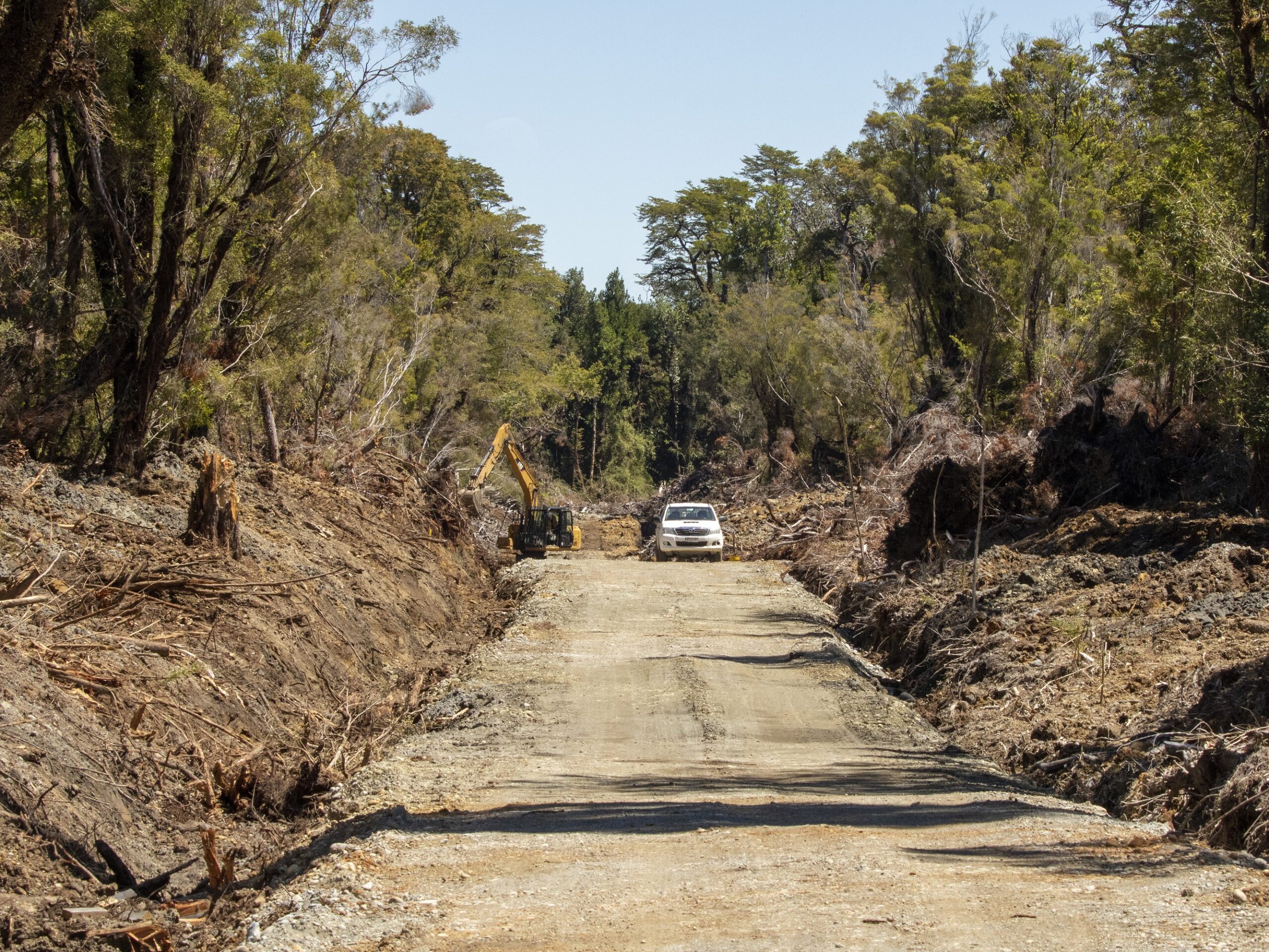 CONAF detectó corte ilegal de bosque nativo en Chiloé