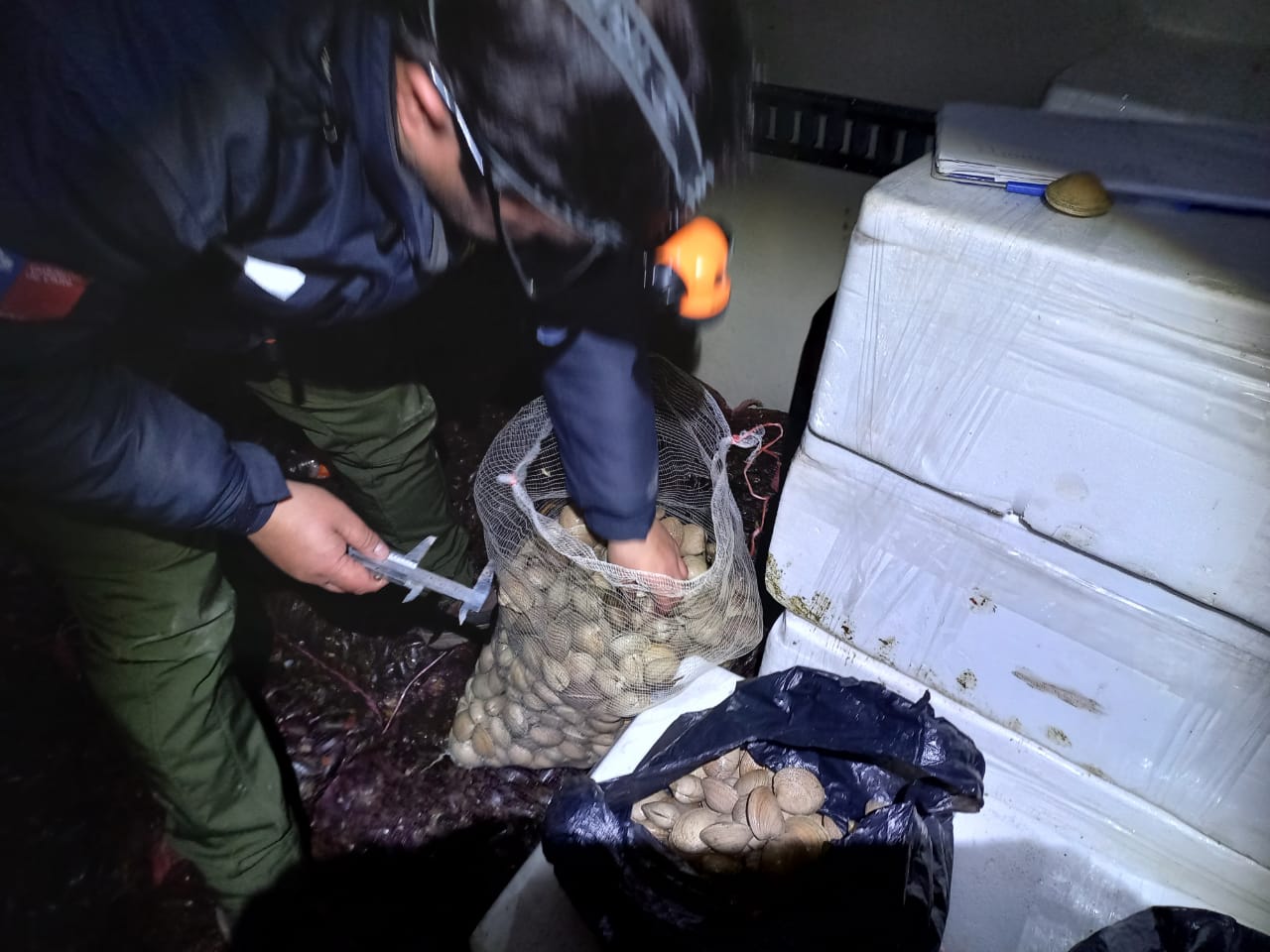 En barrera sanitaria de Chacao incautan 1245 kilos de recursos bajo la talla mínima legal