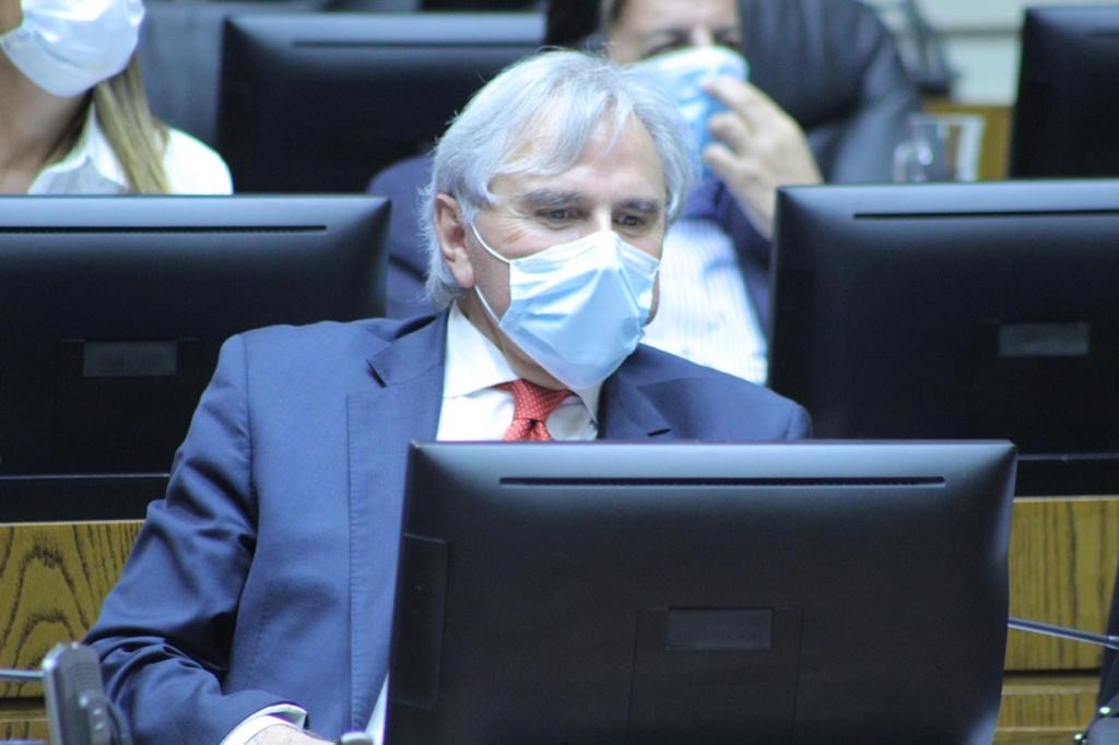 Biocombustibles solidos: Moreira valoró mayor regulación, pero teme impactos en la oferta por alza en los combustibles