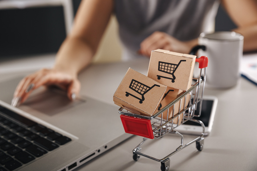 Habilitan más de 100 clases interactivas y gratuitas para que las PYMES de Los Lagos digitalicen sus negocios