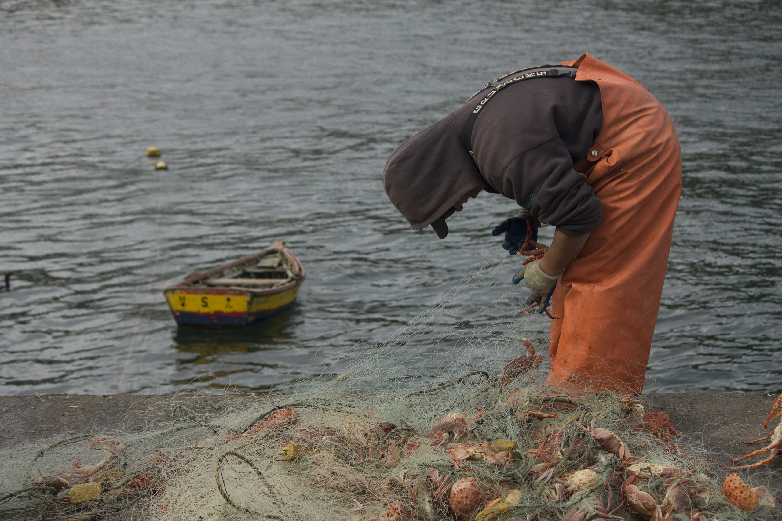 Crece levemente la ocupación en la región, pero aún es menor que en 2019