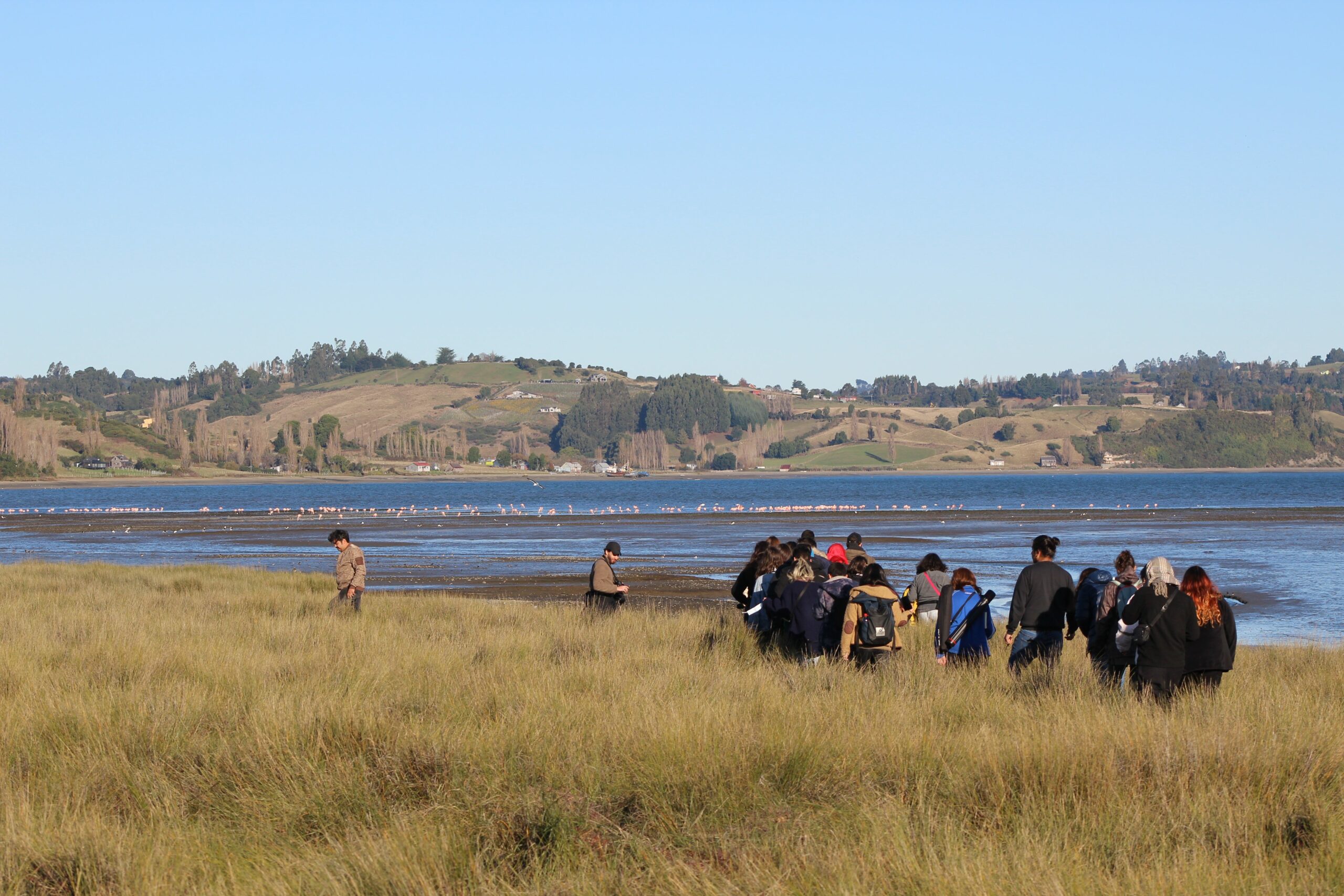 Cultura de la sostenibilidad en lagos y Cambio climático en territorios hídricos, los ejes de nuevas investigaciones de la mano de Universidad de Los Lagos