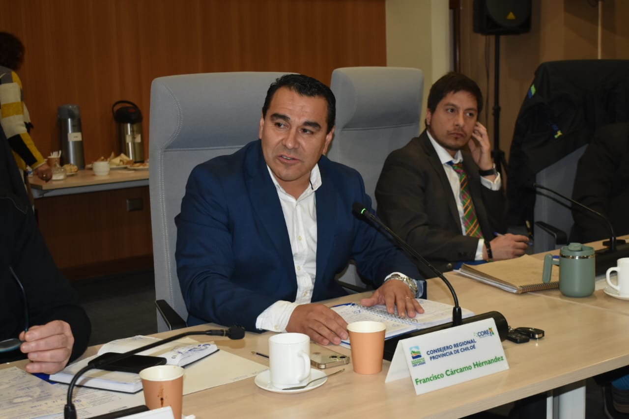 Core Cárcamo solicita presencia de DOH en Consejo Regional por proyectos de servicios sanitarios rurales en la región