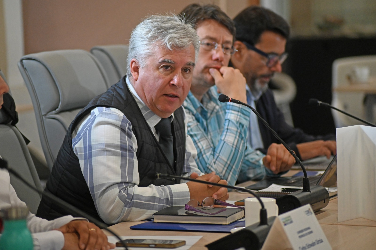 Core Gallardo representará al Consejo y Gobierno Regional en Consejo Regional de las Artes, la Cultura y el Patrimonio