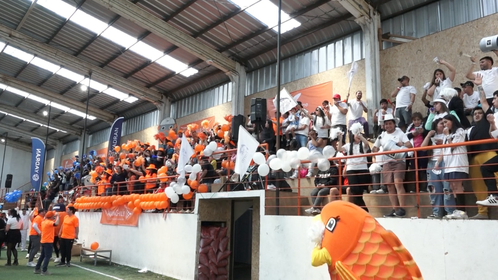 3 mil personas celebraron el Día del Trabajador Salmonero en Quellón