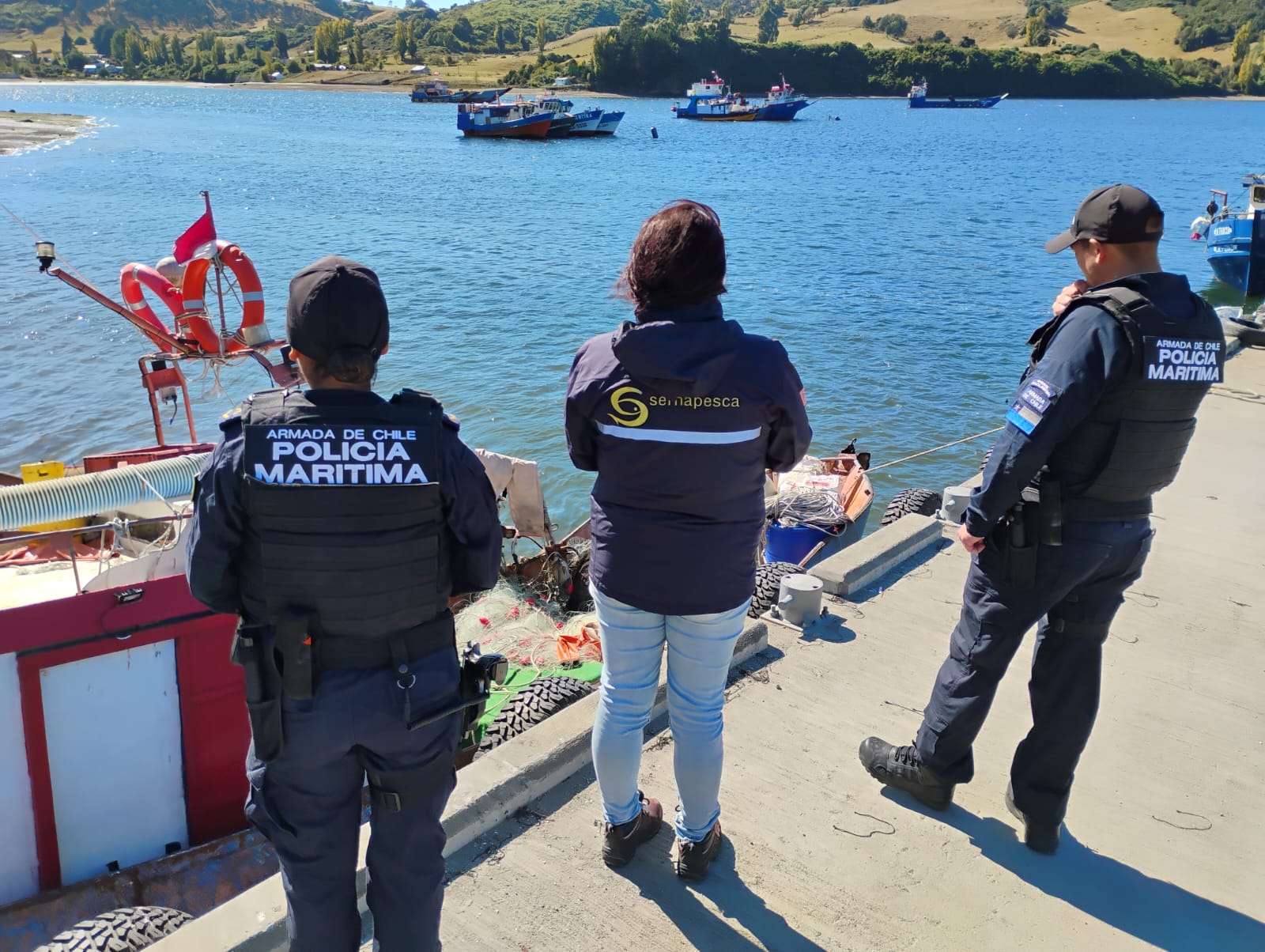 Casi una tonelada de recursos del mar fueron incautados durante el fin de semana en Chiloé