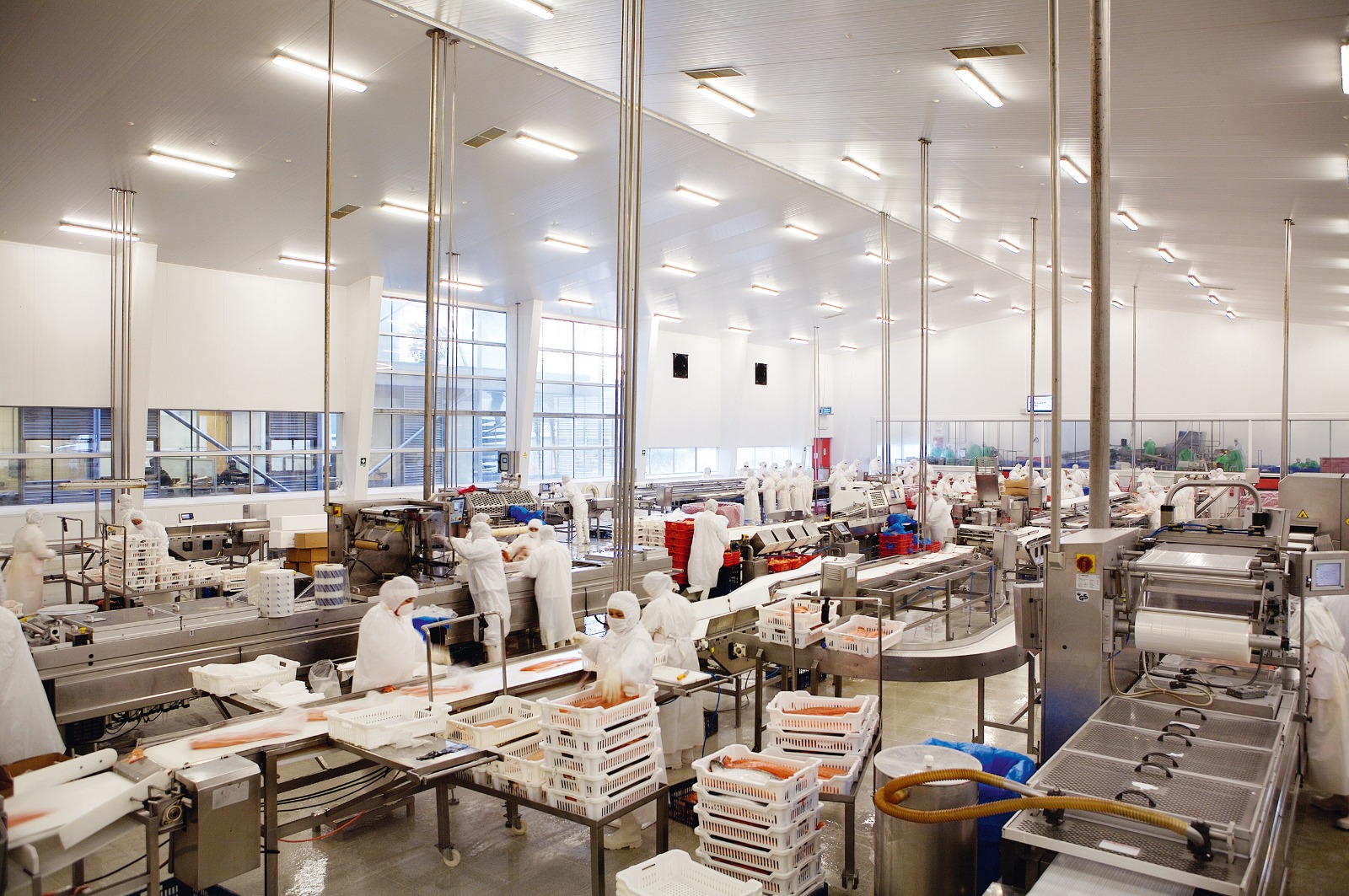 Exportaciones en la Región de Los Lagos alcanzaron los US$1.980 millones en el primer trimestre