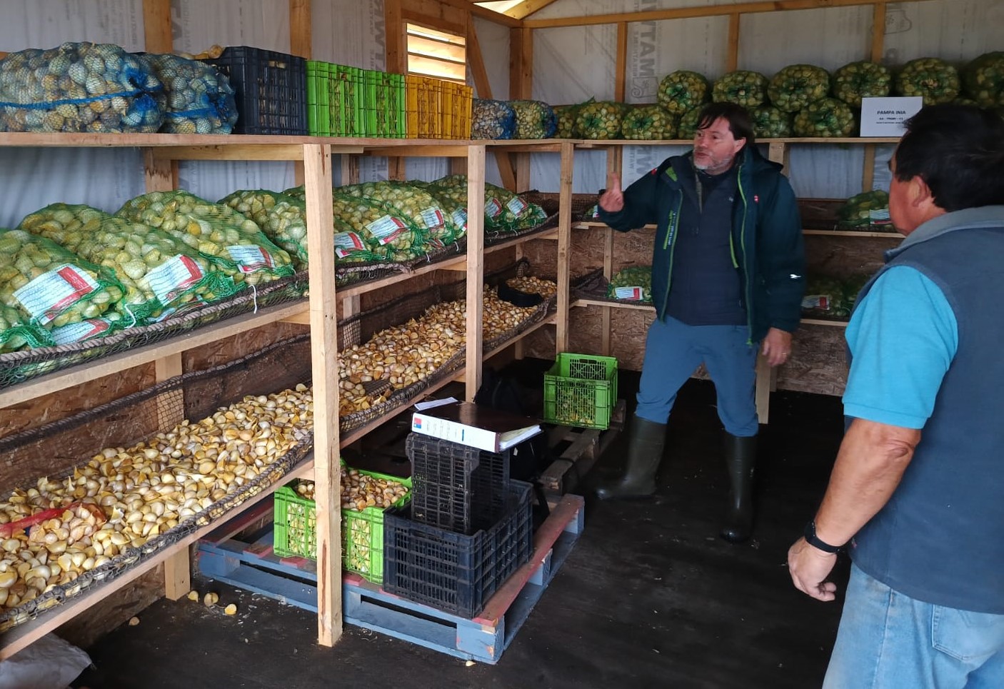 SAG Los Lagos certifica semilla de ajo chilote y destaca esfuerzo de productores/as de Chiloé