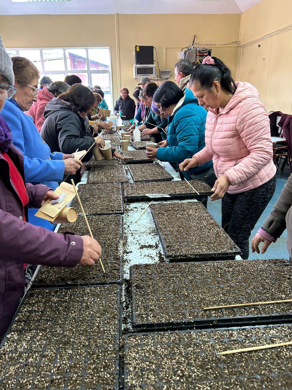Agricultores de Curaco de Vélez participaron en taller de elaboración de almácigos