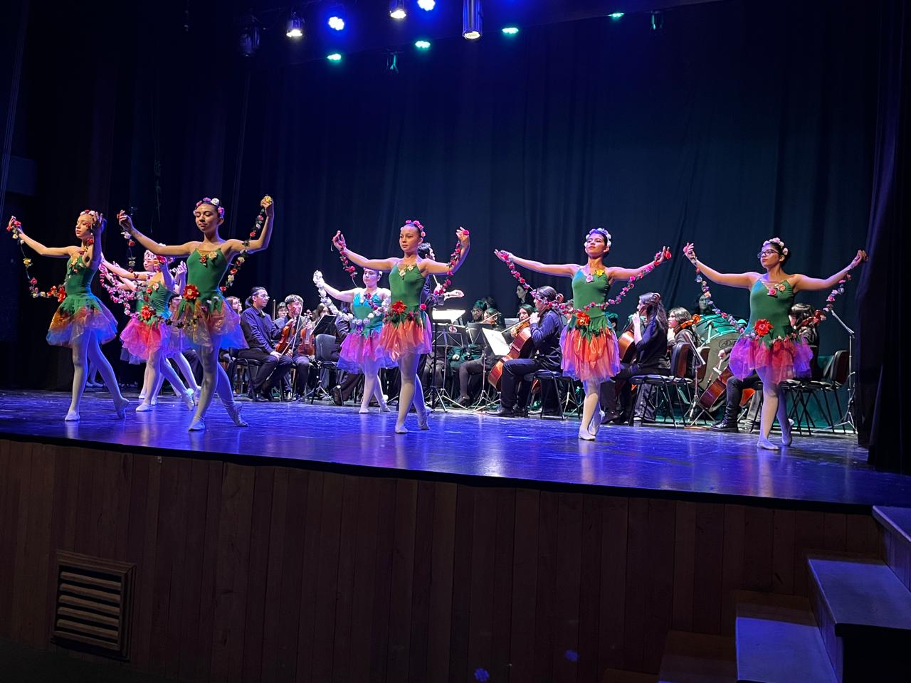 Con una gala celebran los 20 años de la Academia de Artes “Islas al Sur”