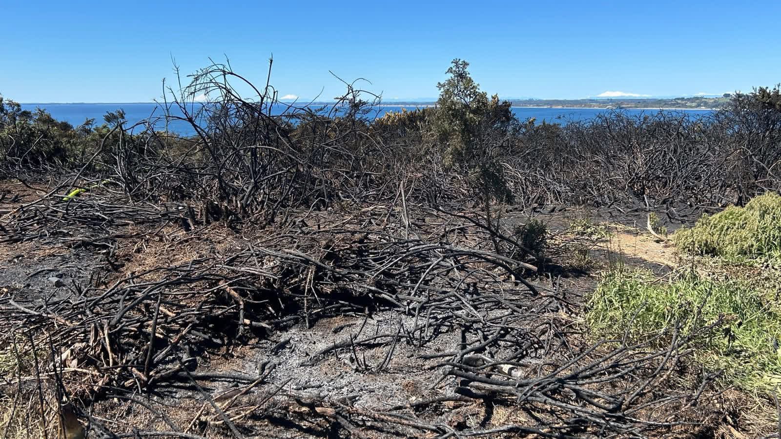 SENAPRED declara Alerta Roja por incendio forestal en Ancud