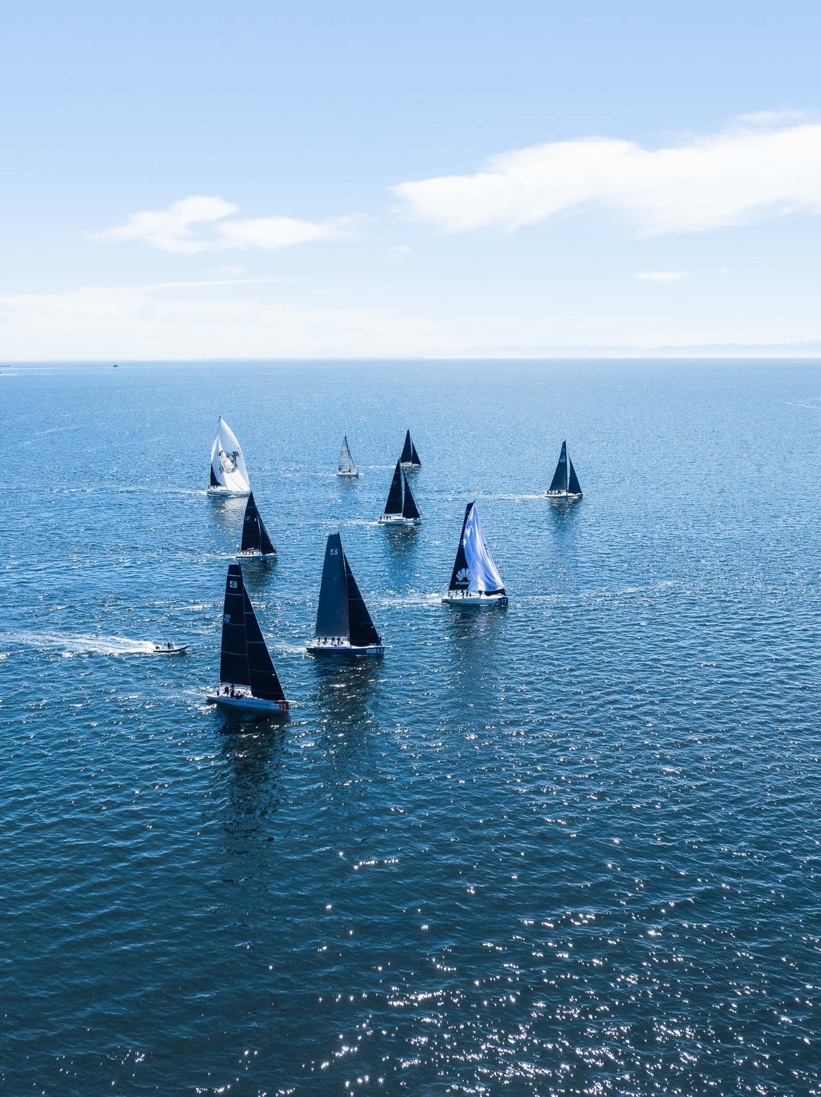 Regata Aramco Chiloé recorrerá 140 millas por Bicentenario de la Incorporación del Archipiélago a Chile