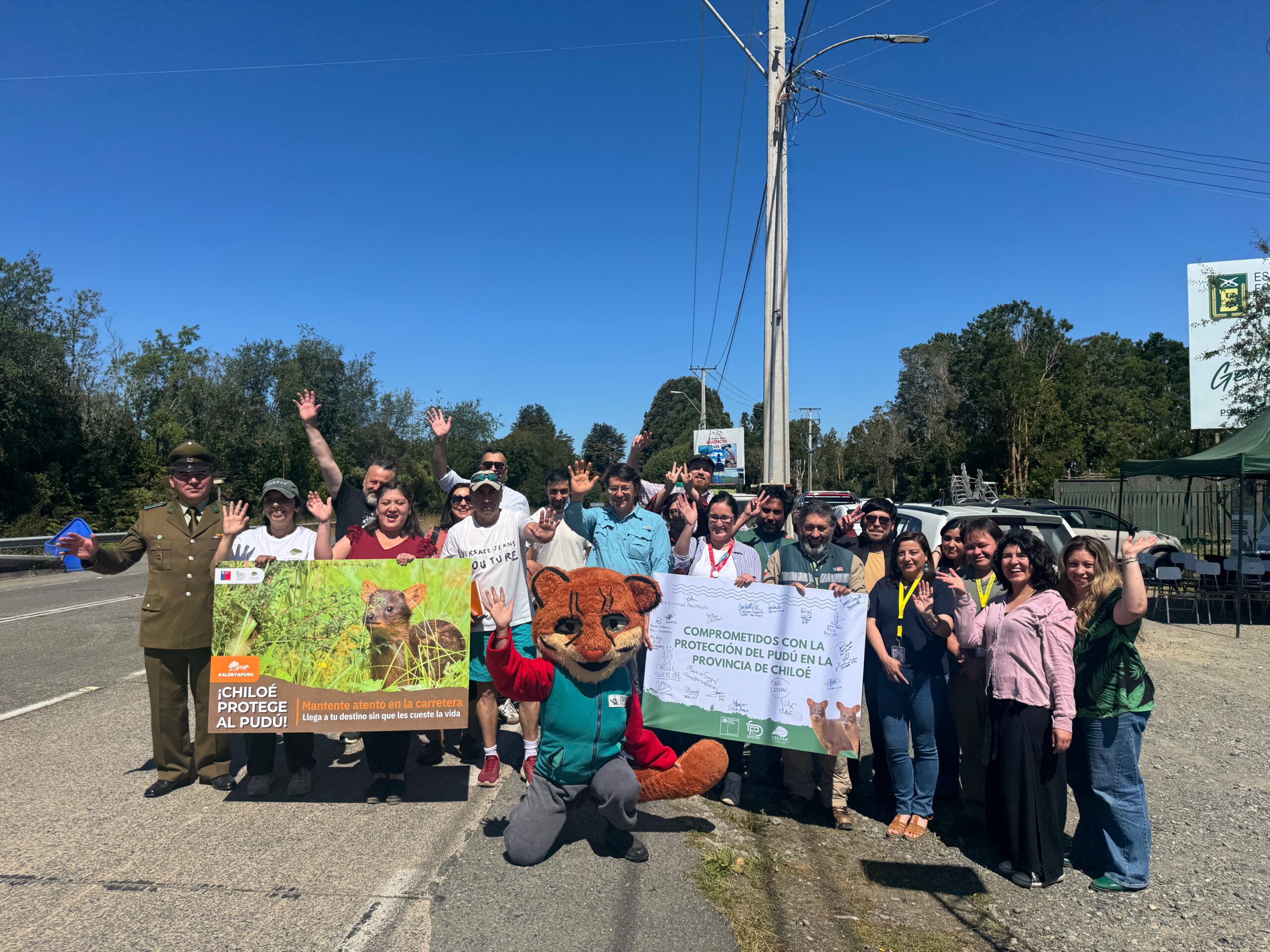 Chiloé da inicio a piloto de intervención estratégica para resguardar al pudú