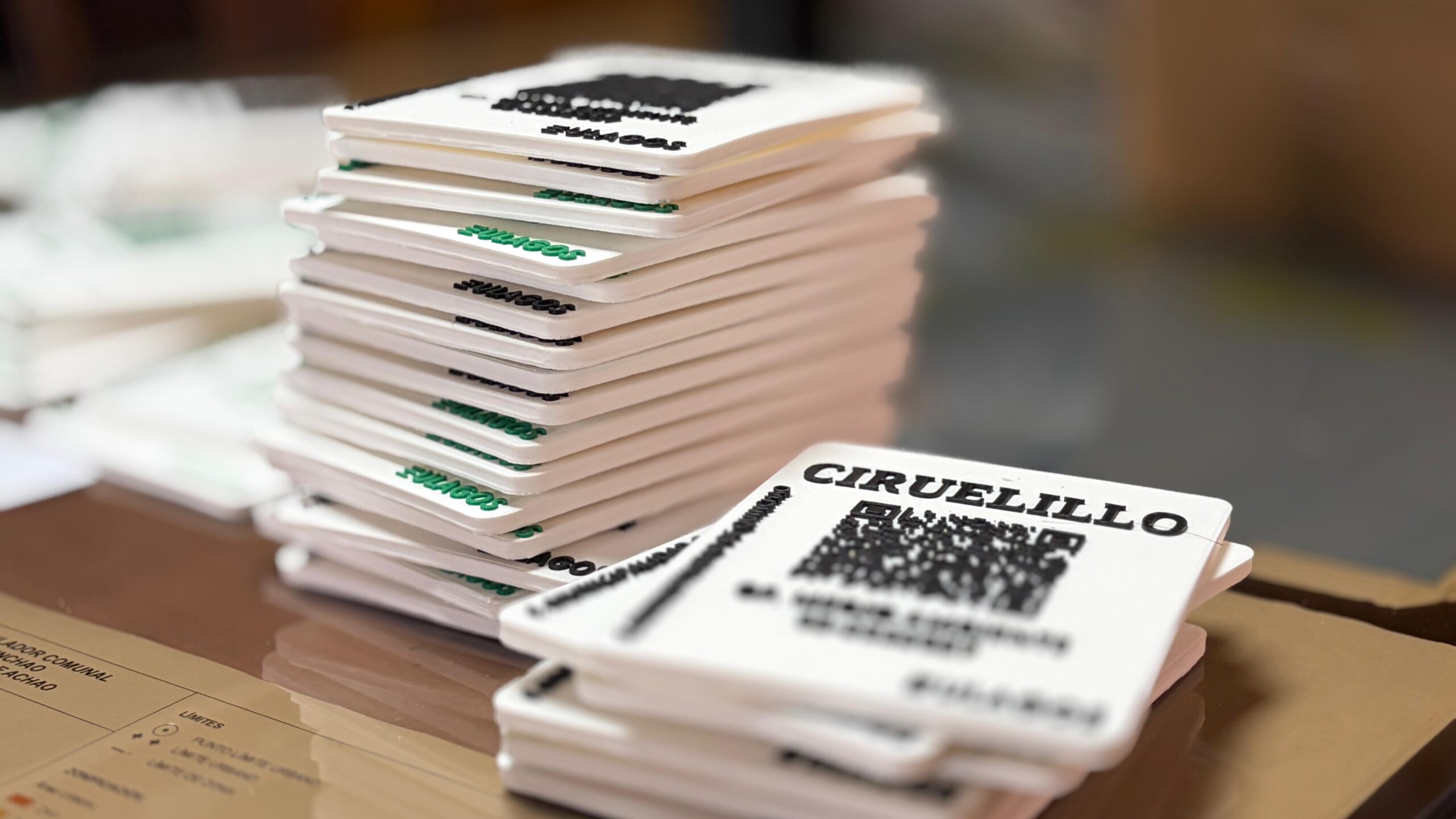 Quinchao difundirá patrimonio arbóreo con tecnología 3D