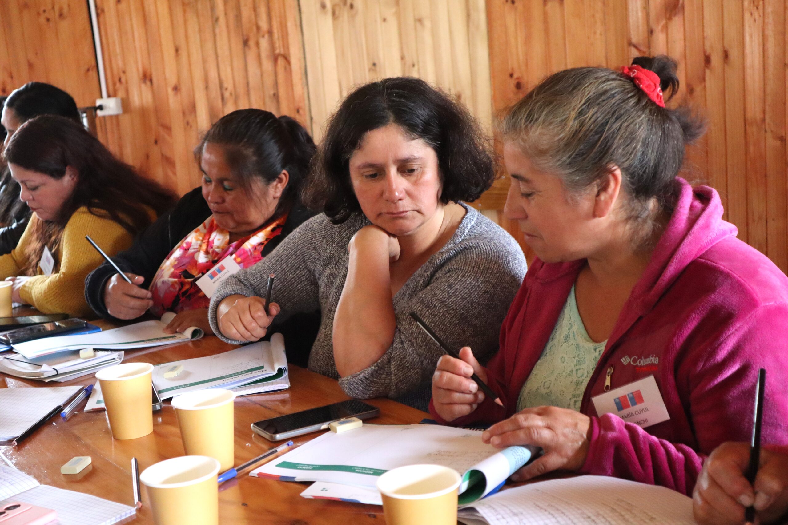 Mujeres del mar chilotas fortalecen sus emprendimientos gracias a proyecto INDESPA–FOSIS