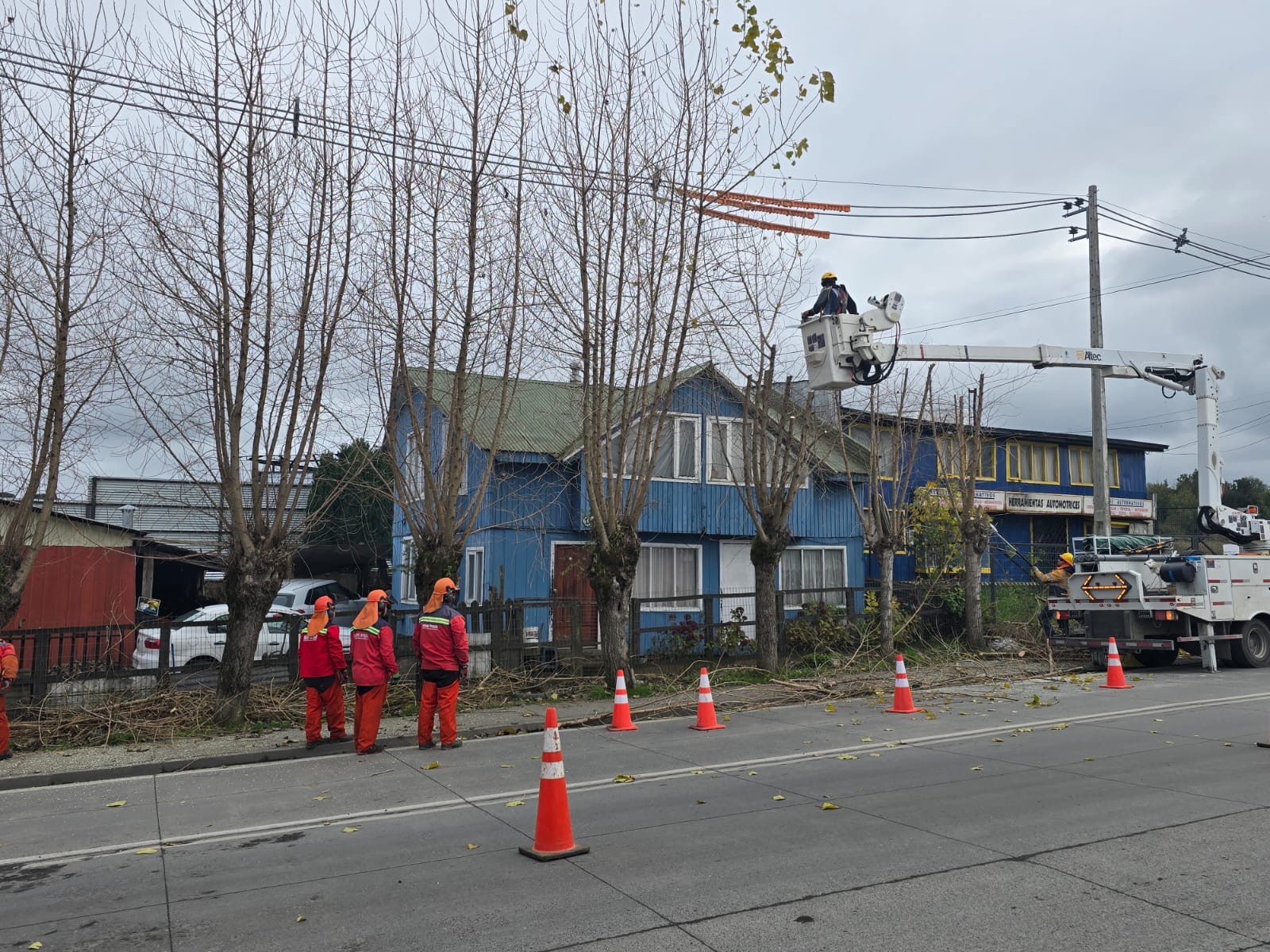 Plan de mantenimiento preventivo de Saesa benefició a más de 8 mil clientes en Quellón durante mayo