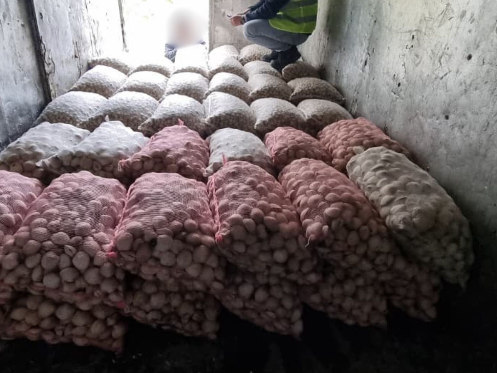 Incautan camiones y 8,6 toneladas de recursos en Chacao