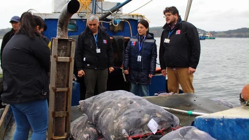 Seremi de Salud decreta cierre preventivo en área marítima de la comuna de Chonchi por presencia de toxina paralizante de marea roja