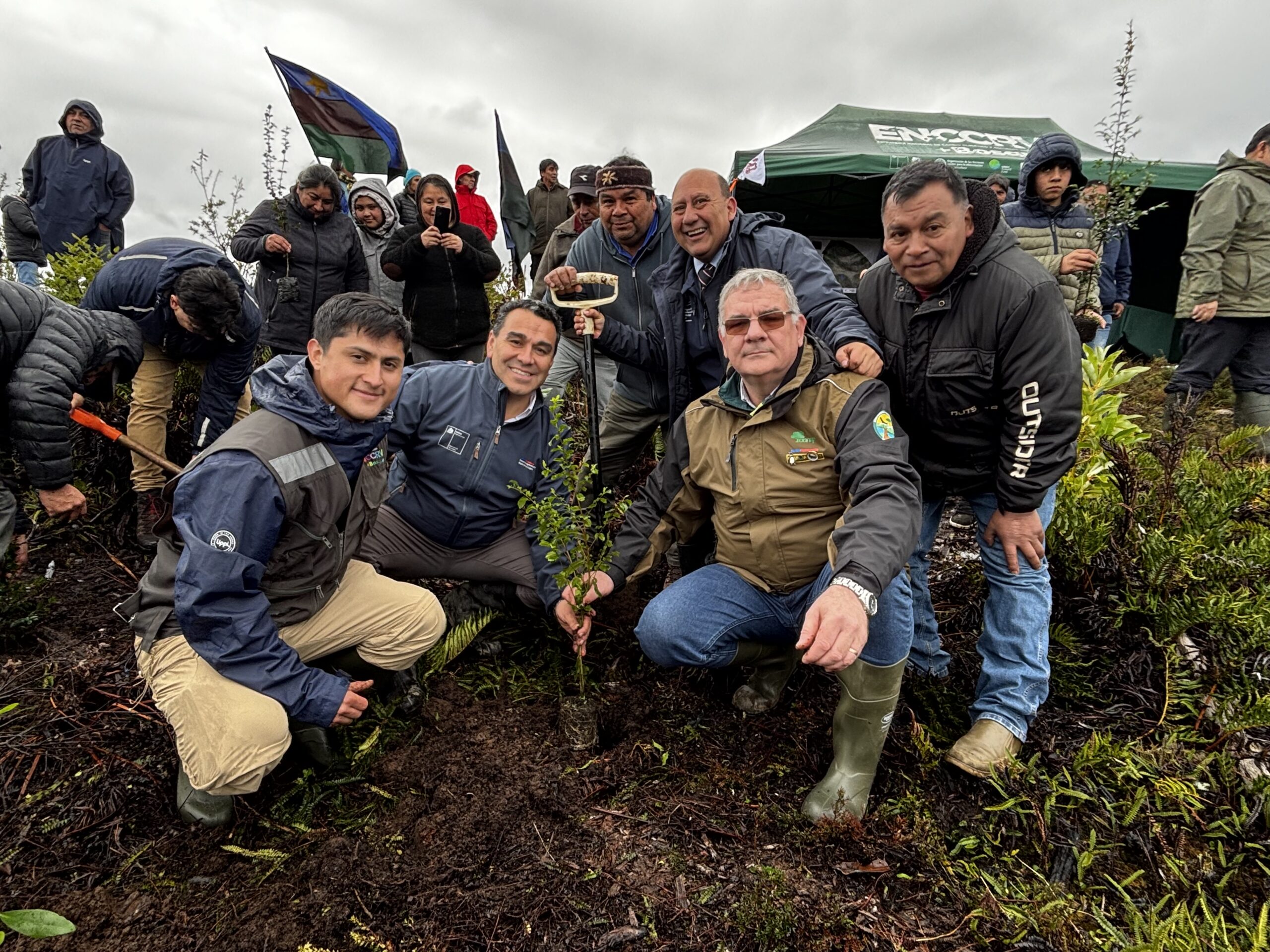 Comunidad Coihuín de Compu culmina proyecto de restauración de bosque nativo para enfrentar el cambio climático impulsado por CONAF y FAO